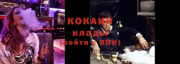 гидра Аркадак