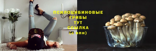 стафф Армянск