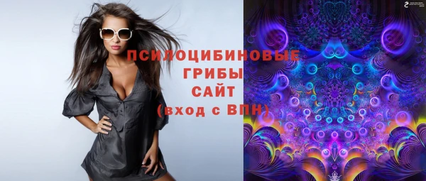 стафф Армянск