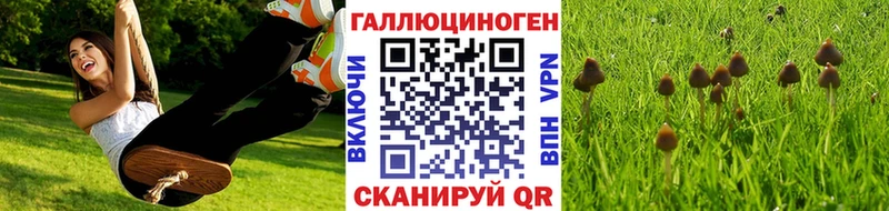 Псилоцибиновые грибы ЛСД  Заволжск 