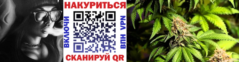 где продают наркотики  Заволжск  Бошки марихуана конопля 